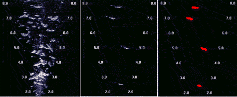 Fisheries Counting Vision Analysis