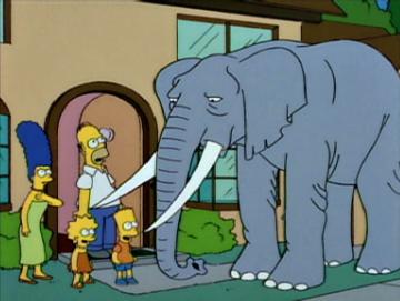 Stampy the elephant, on Simpsons