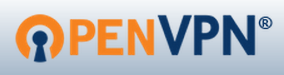 VPN